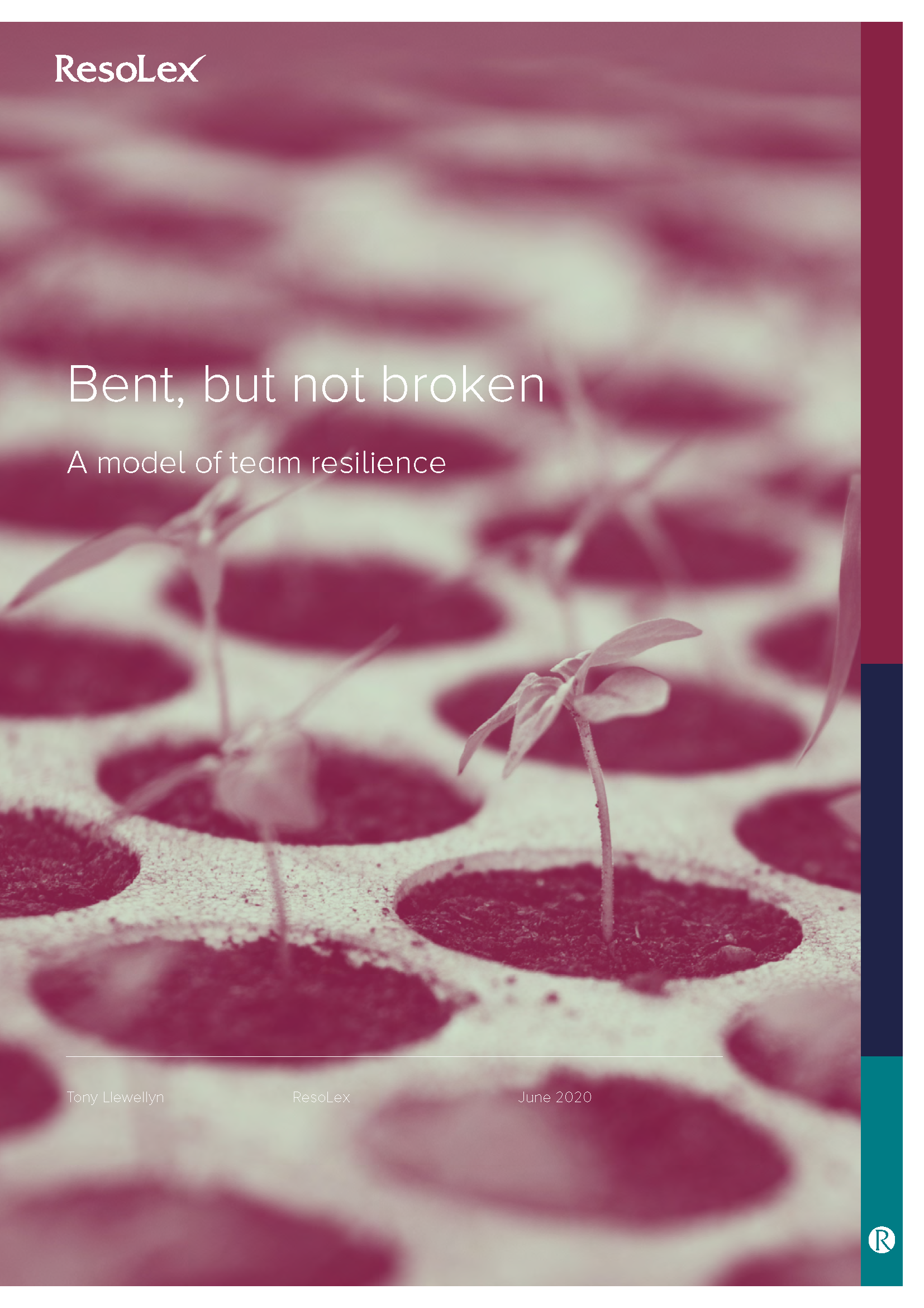 Bent, but not broken - a model for team resilience